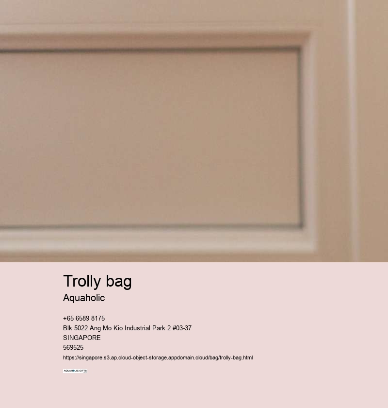 trolly bag
