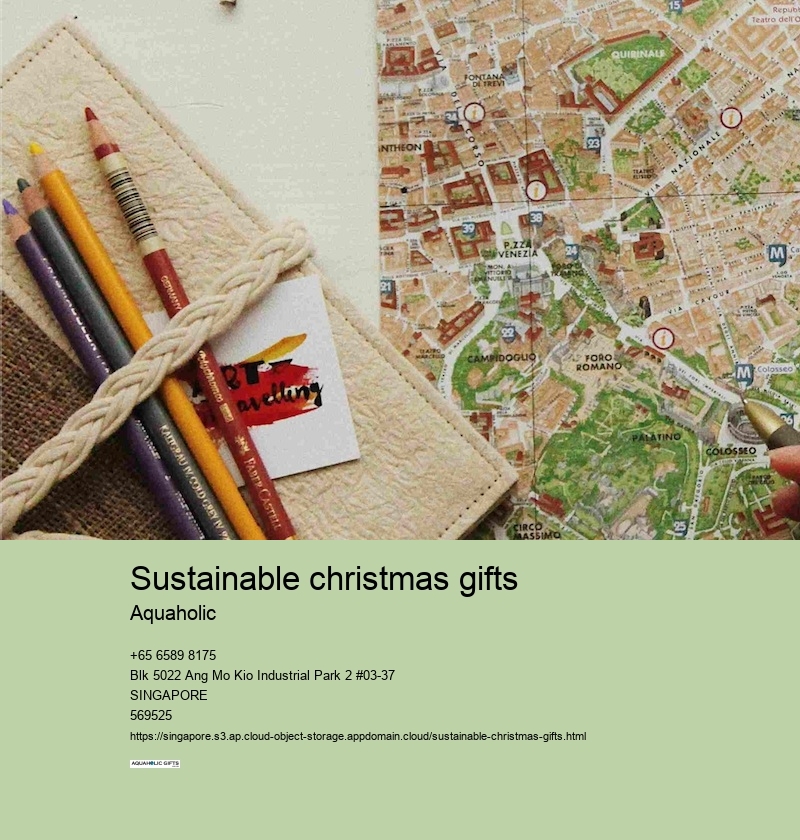 sustainable christmas gifts